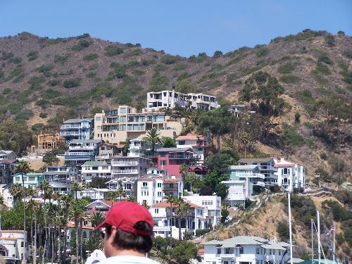 Catalina Island - Catalina Island in the Pacific Catalina Island - Catalina Island in the Pacific