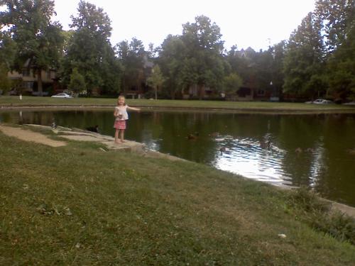 Beauty  - We took this picture on a perfect summer day.