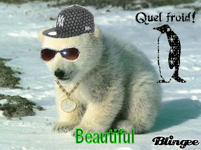 Funny Bear - Funny Bear Hiphop Style :))