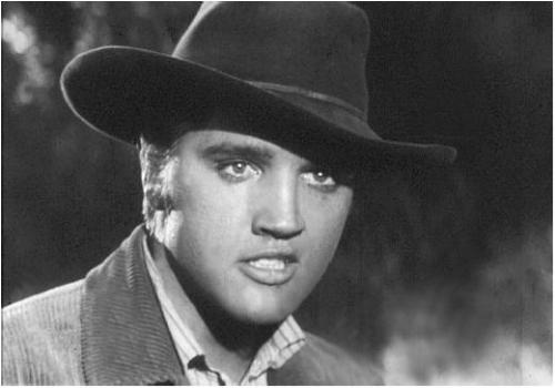love me tender elvis presley - This films original title was 'The Reno Brothers.'
