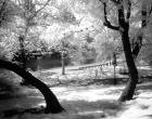 photo - black and white photography
