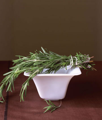 rosemary - Add a dash of spice for your life..