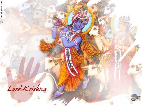 lord krishna with his flute - Lord krishna is the one who gave one of the most important teachings for hinduism - Bgavat gita