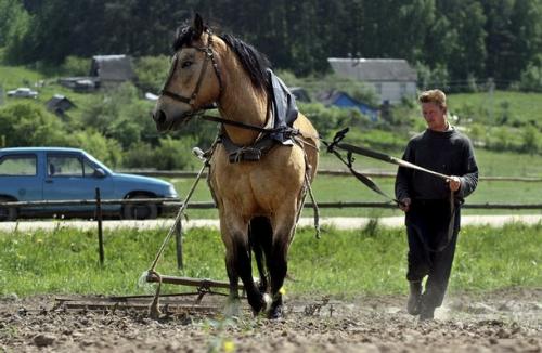 plow - a horse drawn plow, people still swear by horsepower and not 'deer power'