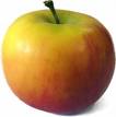 apple. - My choice as only fruit to eat.