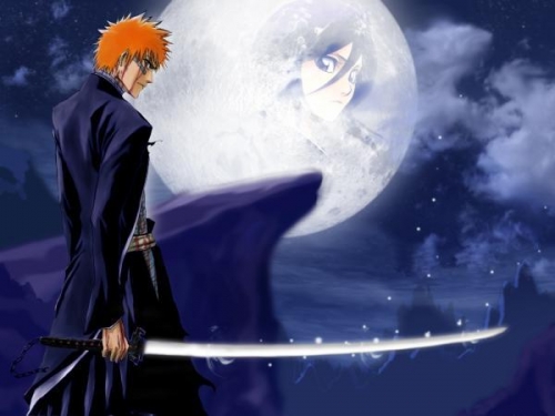 bleach - bleach fan