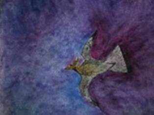 Fox Evolving - Fox and Hawk are both evolving. They belong together, not to each other but to The Creator, The Great Spirit.