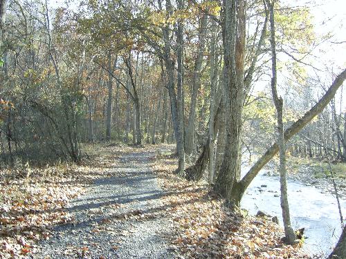 my favorite walk - this is the river near my house. This driveway goes on for about a quarter of a mile, then it curves up into the mountain where the old house sits overlooking the river valley.