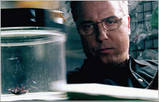csi - Grisim on CSI