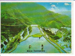banaue rice terraces - the famous banaue rice terraces of the philippines