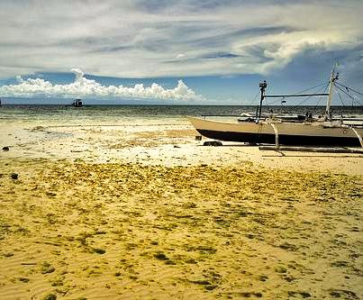 beautiful island of sequijor, philippines - a beautiful white sand beach of sequijor located in the philippines