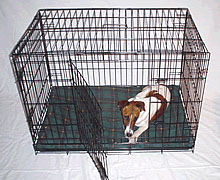 Dog kennel - This is similar to the dog kennel we have that my dog got stuck in..