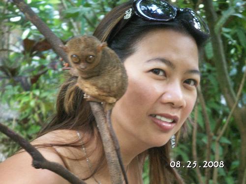 tarsier - me and my tarsier .... tarsier from bohol very cute and very soft to touch....