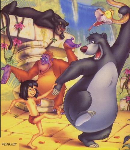 the jungle book  - why should i worry, why should i care