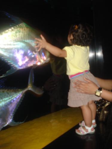 Big hug for the fish - My daughter