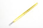 thermometer - mercury thermometer