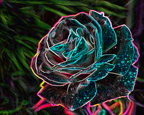 neon rose - neon rose?  well i likes this pic