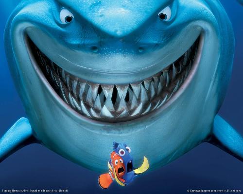 Nemo - when nemo's father was attacked by shark!