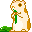 Guinea Pig - Guinea pigs! They rock mah socks! Please rate =)