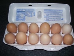 Fresh Brown Eggs - These eggs are from our free range chickens who get great joy from the spoils of my garden.
I feed the chicken's scrapes from the garden, they provide natural fertilizer which goes back to the garden, and I end up with eggs.