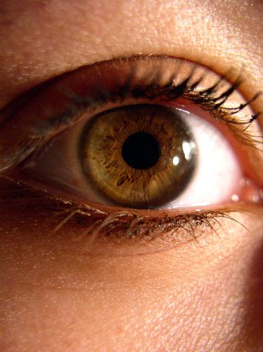 My eye - Eye the important part in our body.If we have beauty eye but blind heart nothing is meaningful in our live.