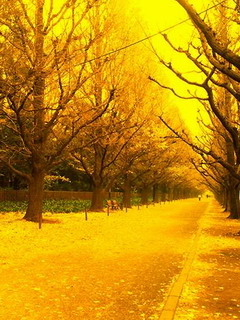beautiful - this is a very beautiful park ,i loved it when i went there in my first time.