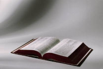 Reference book - Reference book for information