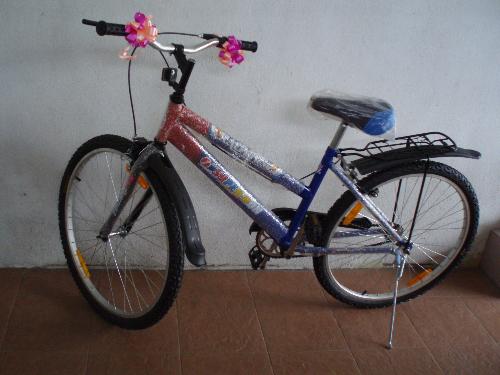 new bicycle - My hubby was so lucky and he had got a new bicycle in the lucky draw while attending a charity dinner.