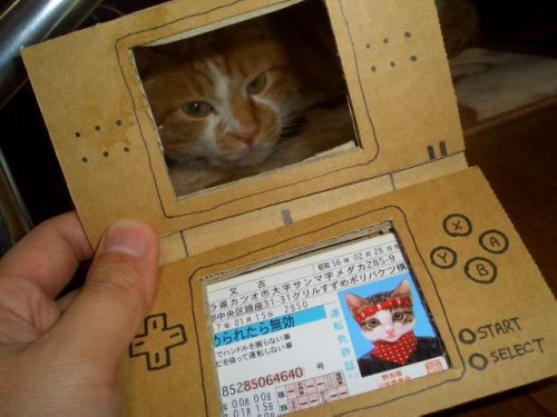 Nintendo DS  - Awww so cute!!