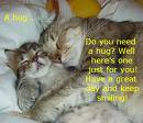hug - hugging