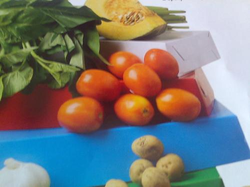 eating food - delicious food