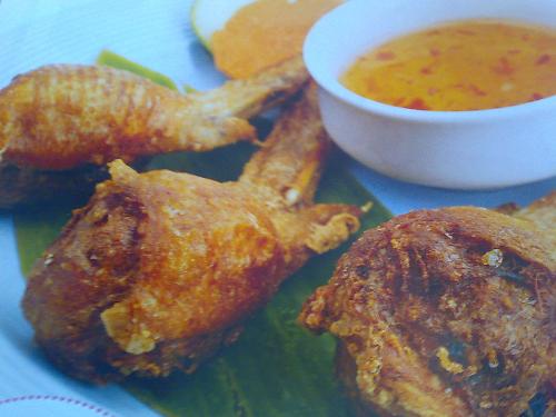 eating food - delicious food