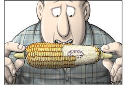 concern - Genetically modified food.