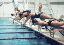 swim -  swim swim