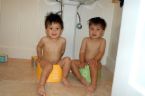 potty training  - potty training pic