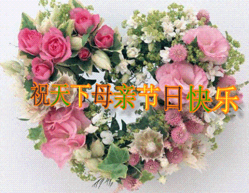life - life is so beautiful