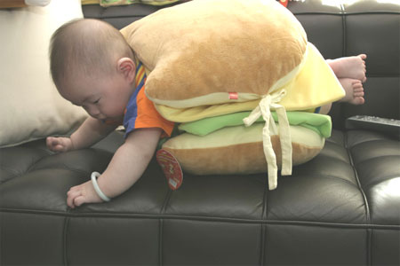 hamburger - a hamburger baby... with cheese... lettuce and tomato