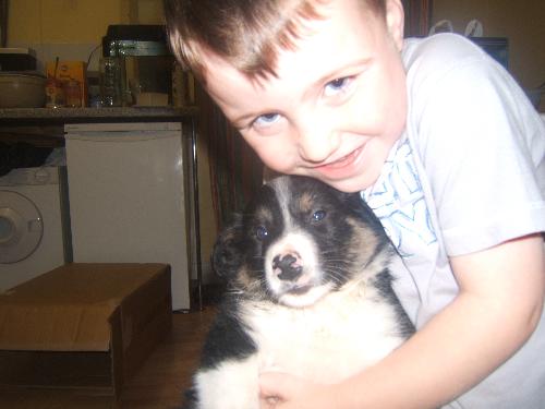 my son with the new puppy Ziggy - my son with his new puppy Ziggy