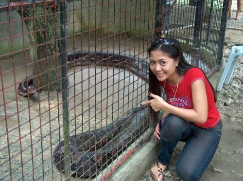 Big snake in Bohol - This is the biggest snake ive ever seen. Wow i was really amaze.