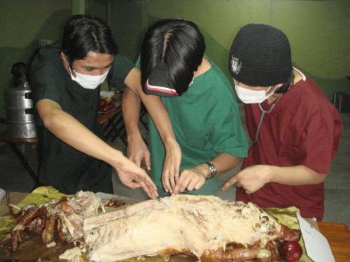 Me in the Operating Room - Lechon PIG