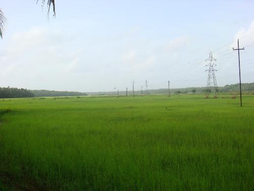 my foto - its the green view.......