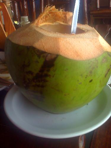 Here is a picture of a coconut fruit - We love drinking coconut juice, straight from the fruit! It is very beneficial to us.