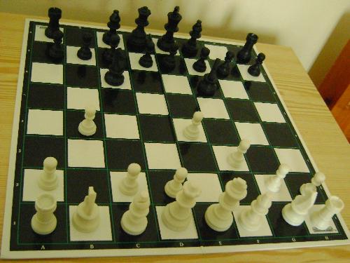 chess thinker - have you played chess before, darn you must be a thinker