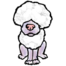 Poodle - Something I drew for a pet site