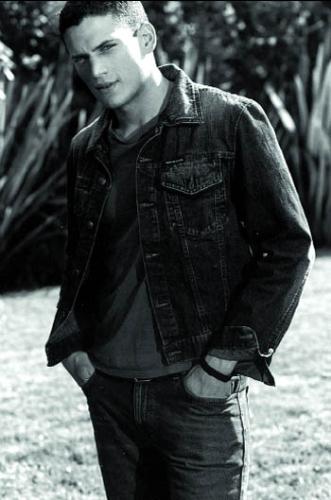 Michael Scofield/Wentworth Miller - The protagonist and the main character, younger brother of Lincoln Burrows. He designs an escape plan to free his older brother and save his life as well as his own. He successfully executes this plan, but fails to evade the police in Panama. Recently has escaped from Sona prison. In season 4, he reunites with Sara after discovering she is in fact still alive, and is now part of Self's covert 'A-Team' assembled to bring down The Company.