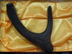 Velvet - Function: fill essence,help recuperating the Kidney-Yang, gluten-bone.