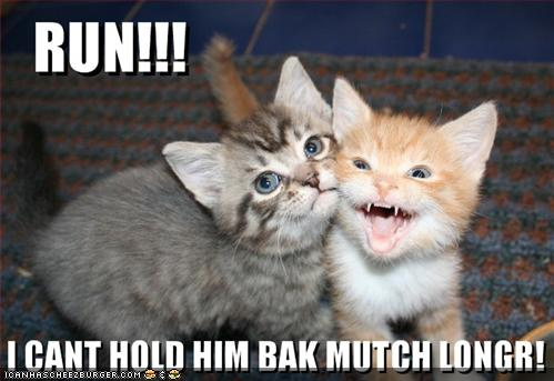 best friends - run i cant hold him forever