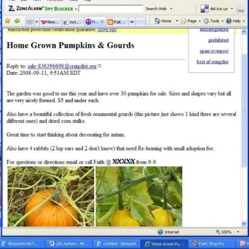 Screenshot Craigslist Ad - this screen shot is my first ad placed on Craigslist - a free service for selling items.