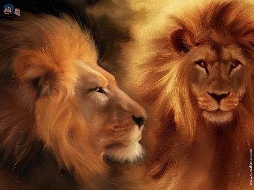 loins - lions
