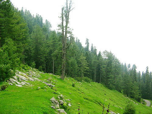bhurbhan5 - nice place in pakistan